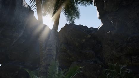 Sonnenstrahl-In-Höhle-Mit-Palmen